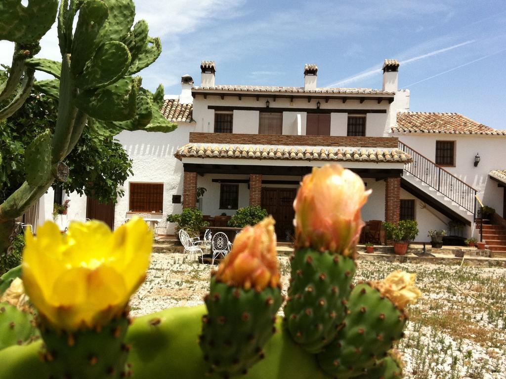 Periana Belvilla By Oyo Cortijo Las Monjas المظهر الخارجي الصورة